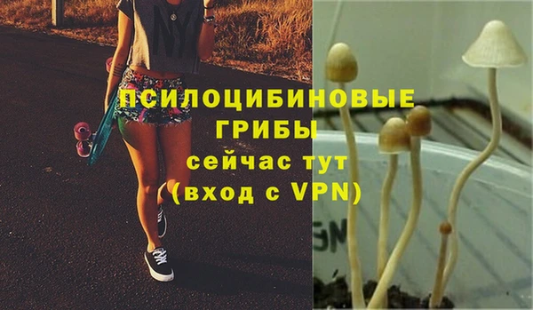 герыч Ельня