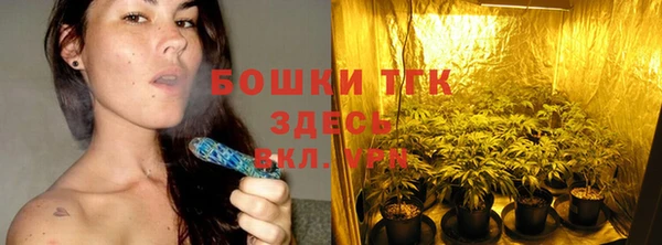 герыч Ельня